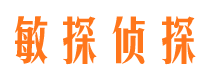 平山市侦探调查公司